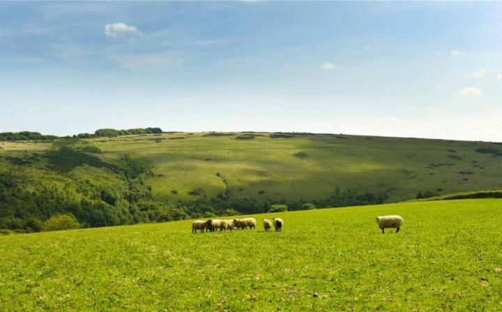 Zeal Farm Bed & Breakfast Dulverton Luaran gambar