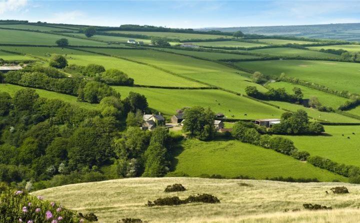 Zeal Farm Bed & Breakfast Dulverton Luaran gambar