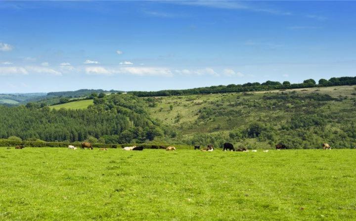 Zeal Farm Bed & Breakfast Dulverton Luaran gambar