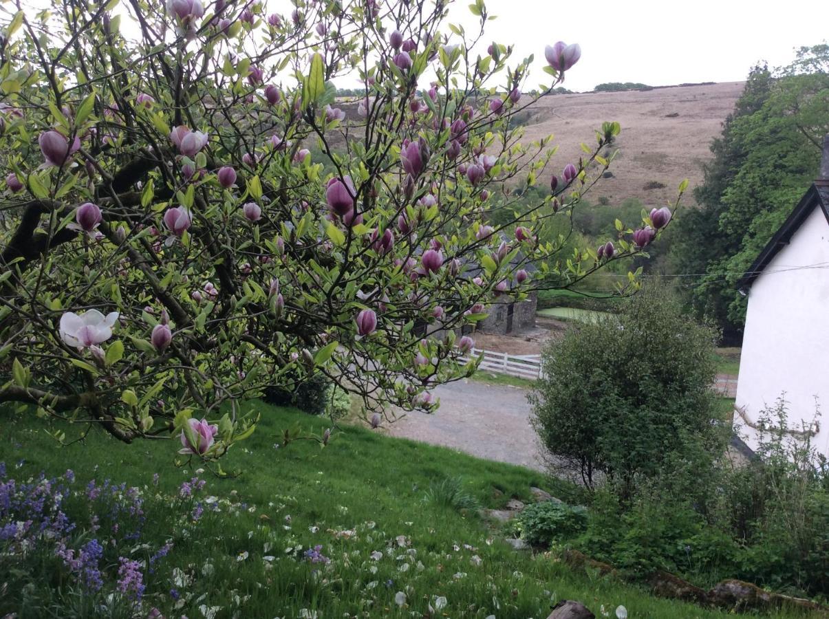 Zeal Farm Bed & Breakfast Dulverton Luaran gambar